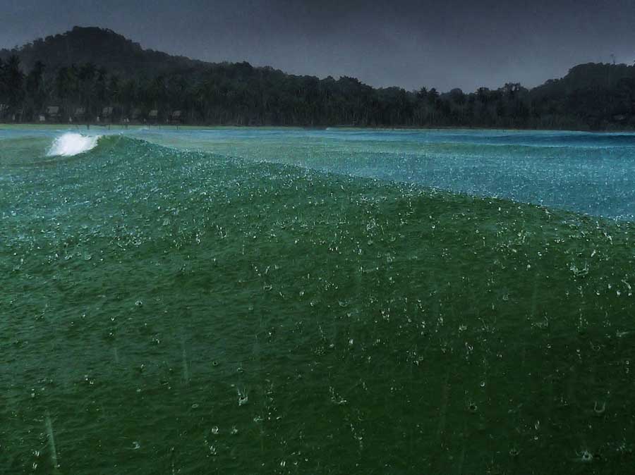 Beautiful Examples of Rain Photography Beautiful Examples of Rain Photography