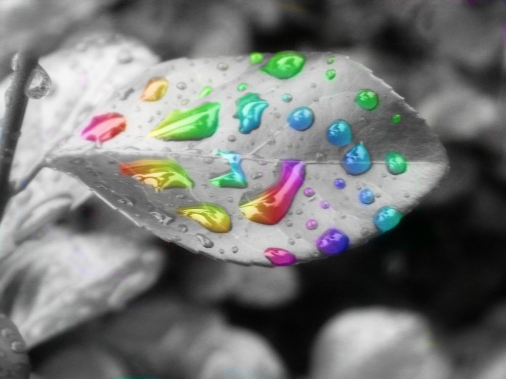 Rain Photography Dream in color