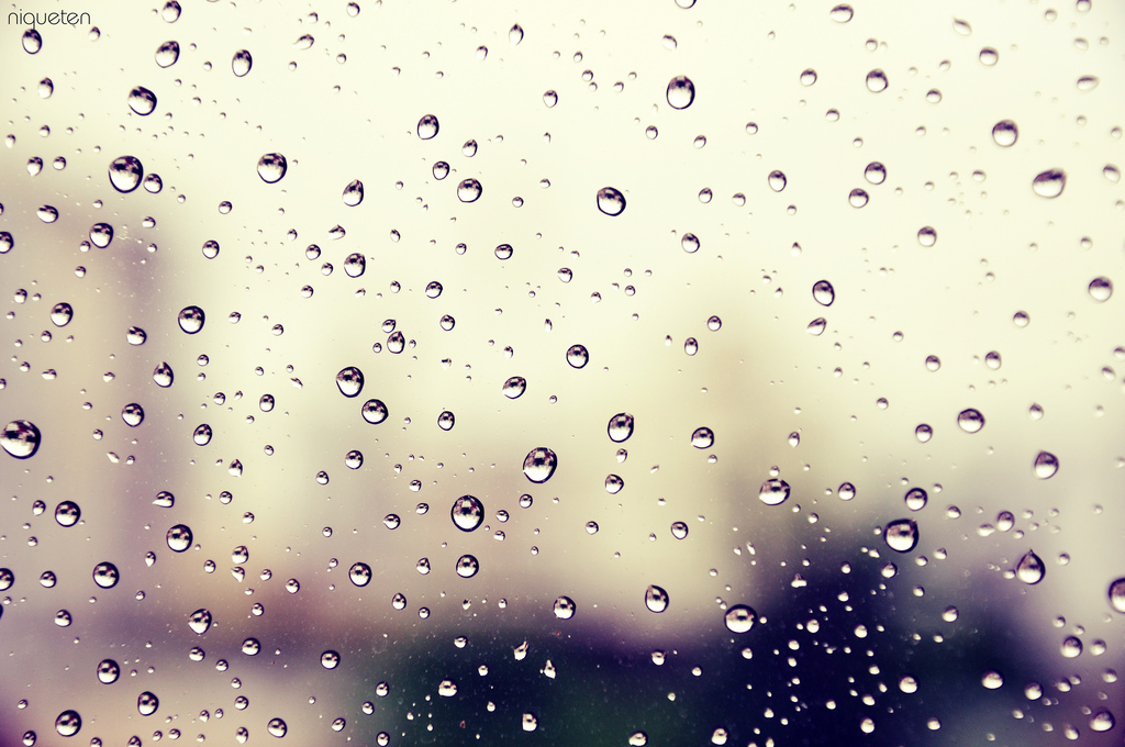 Amazing Rain Photography Drop of rain