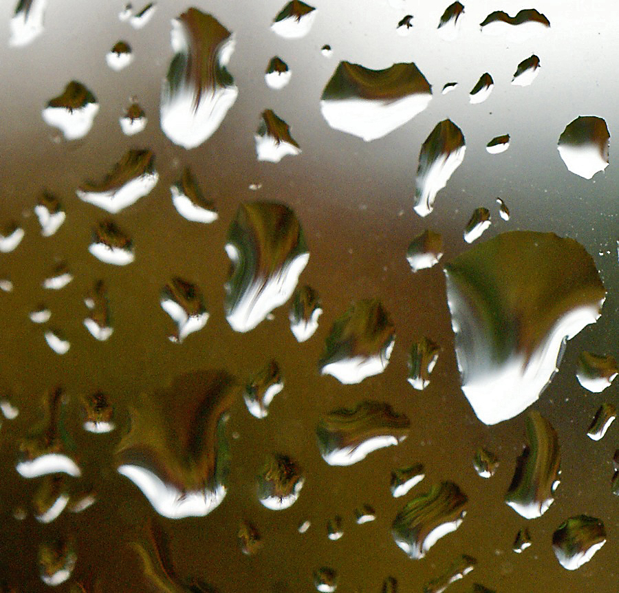 Rain Photography SONY DSC