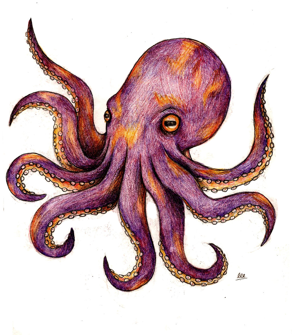 Octopus Tattoo Design