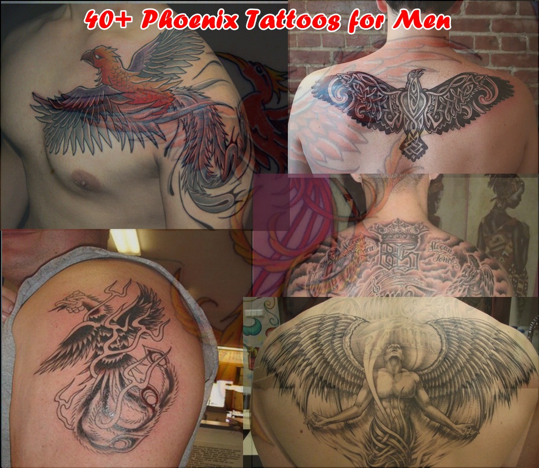 40+ Phoenix Tattoos for Men