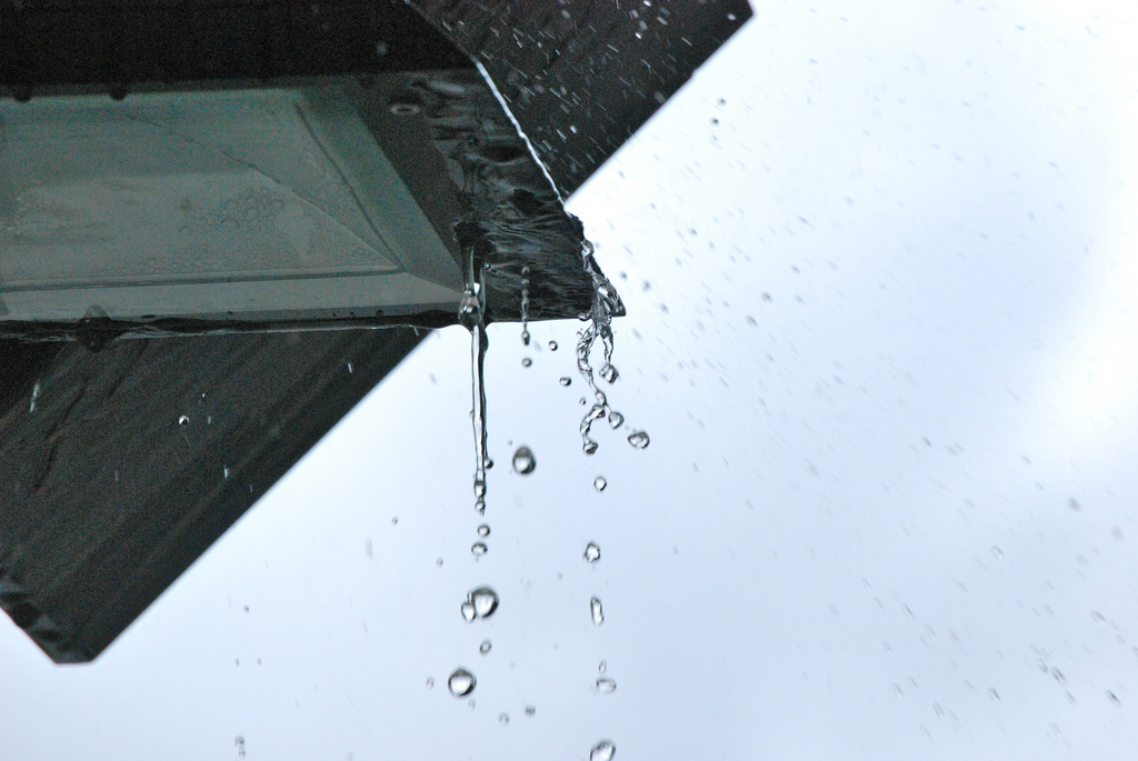 Rain Photography Rain Photography 3