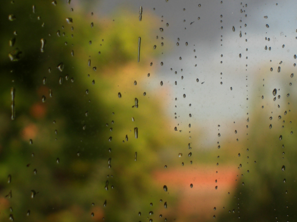 Amazing Rain Photography Rain Photography