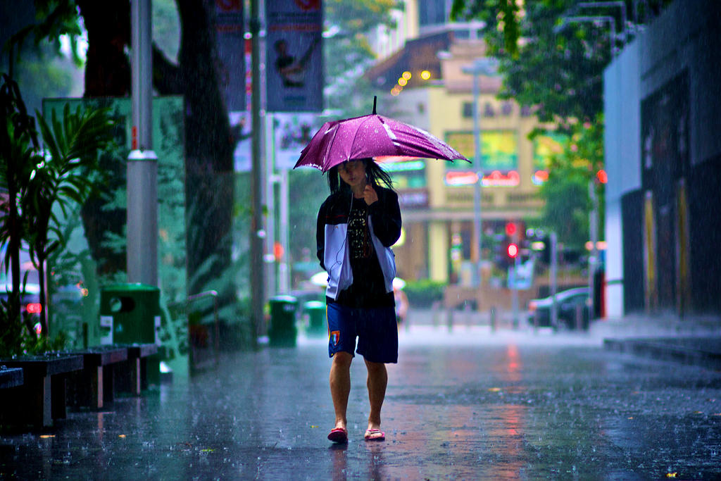 Rain in Singapore Rain in Singapore