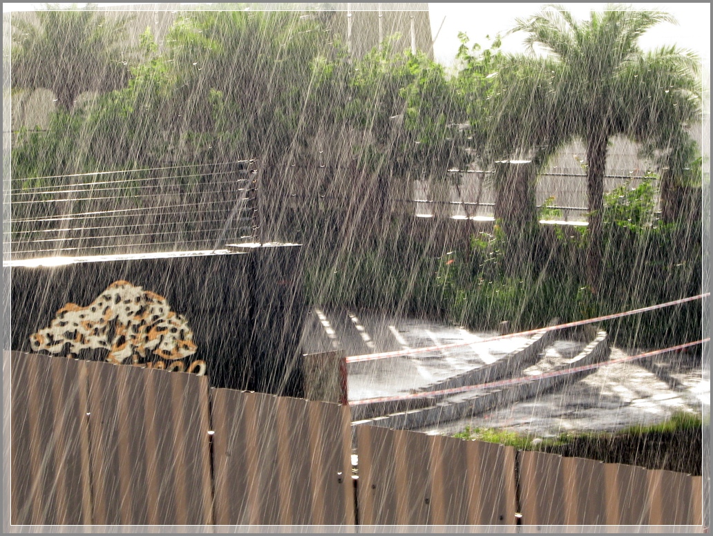 Amazing Photography Rain in broad day light