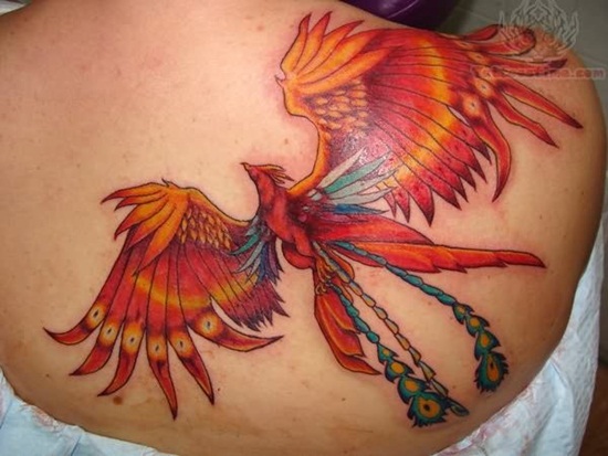 phoenix-tattoo-on-back-for-girls