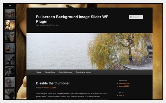 Fullscreen Background Image Slider WP Plugin