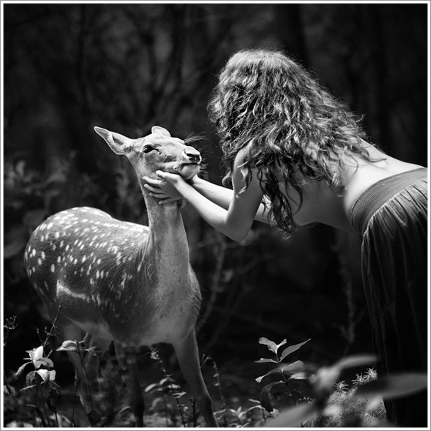 Beautiful Wild Life Photograpphy (30)